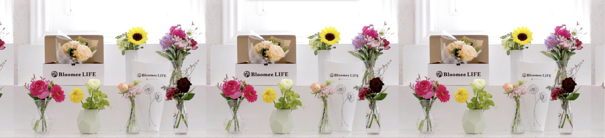 ブルーミーライフの500円から始めるお花の定期便サービス初回無料クーポンキャンペーン中