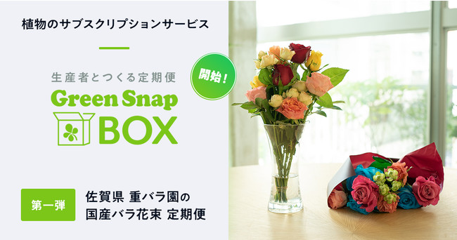 GreenSnap BOX