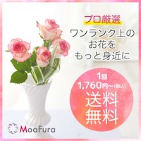 お花の定期便「MoaFura（モアフラ）」